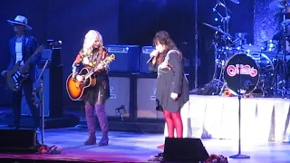 HEART -DOG AND BUTTERFLY -LIVE -TAMPA -8/17/19