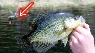 Crappie Fishing with a Bobber and Live Minnows!