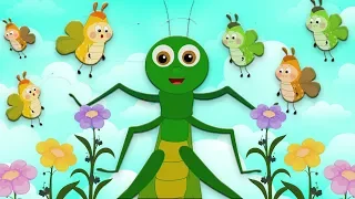 В траве сидел кузнечик | V trave sidel kuznechik | A grasshopper sat on the grass | Kids Tv Russia