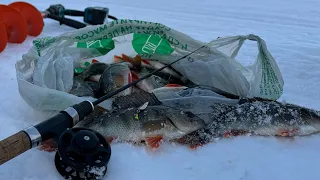 ⚠️Лёд за Ладогой оторвало!⚠️ Рыбалка 🎣 на окуня. 18.12.23