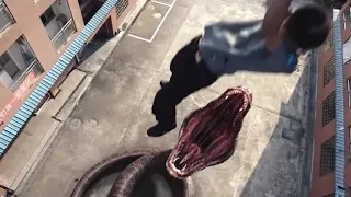 The giant snake leads the poisonous snake into the schoolyard!