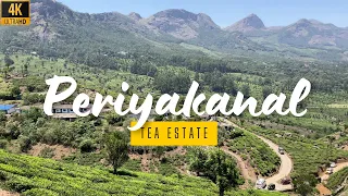 Munnar Series: Ep 3 - Breathtaking Periyakanal Tea Estate View | Munnar Vlogs