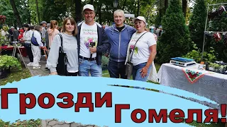 Выставка -ярмарка винограда в Гомеле . Сезон 2023. Часть 2