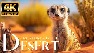 Desert Dwellers🐎 Explore Relax Amazing wildlife movies