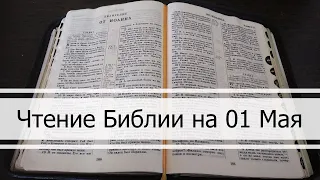 Чтение Библии на 01 Мая: Псалом 120, 1 Послание Коринфянам 9, 1 Книга Царств 5, 6, 7