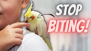 5 TIPS ON HOW TO STOP YOUR BIRD FROM BITING