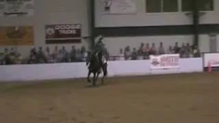 Shawn Flarida Tradition Futurity 2008