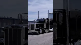 Mercer Transportation Peterbilt 389