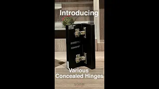 [HARDWARE BASICS] Introduction to different types of concealed hinges - Sugatsune Global