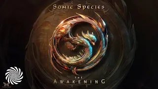 Sonic Species - You Are The Vortex