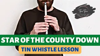 How to play Star Of The County Down | Tin Whistle (With Tabs)