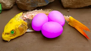 Golden Carp Pink Egg - Stop Motion Mukbang ASMR Koi, Shark Fish Funny Cooking Underground | Cuckoo