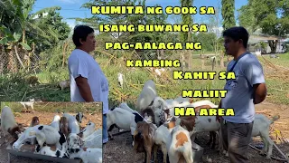 (REUPLOAD) KUMITA NG 600K SA ISANG BUWAN SA PAG-AALAGA NG KAMBING KAHIT SA MALIIT NA AREA(GENSAN)