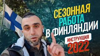 Работа в Финляндии 2022. Как попасть на сбор ягоды. Инструкция для новичков.