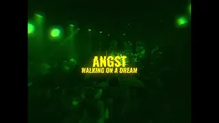 Empire of the Sun - Walking on a Dream (angst Remix)