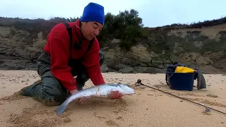 PECHE du BAR au LEURRE SOUPLE du BORD ça maille