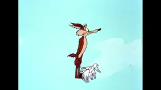 Looney Tuesdays   Coyote Will Never Give Up