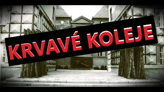 Krvavé Kounicovy koleje | 9 | Brněnské gestapo a SD