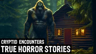 16 TRUE Terrifying Cryptid Encounters Horror Stories (Dogman, Sasquatch, Wendigo, Deep Woods,Creepy)