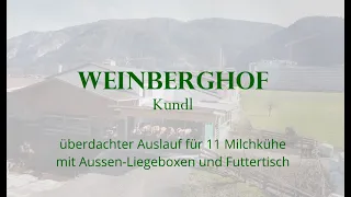 Dokumentation Umbau eines kleinen Milchviehstall von Anbindehaltung zu Laufstallhaltung