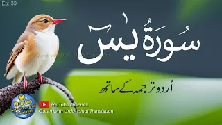 Beautiful recitation of Surah Yaseen with Urdu translation |Episode 39| Quran with Urdu Translation