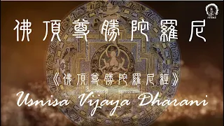 【佛頂尊勝陀羅尼】Uṣṇīṣa Vijaya Dhāraṇī Mantra (Pinyin) Purify Energy 淨罪陀羅尼49遍 | 增福壽、滅惡業、積福報 ＊正能量靜心版＊大悲菩提寺 恭製