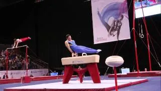 ASHLEY WATSON - POMMEL - 2013 British Champs - AA