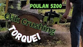 Awesome Torque from fresh Poulan 5200 Countervibe!