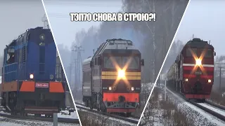 Железнодорожный микс || ТЭП70 Вновь с путемером, 2ТЭ116, 2М62УМ || Railway Mix