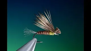 Fly Tying a Pheasant tail X-Caddis/Sedge with Barry Ord Clarke