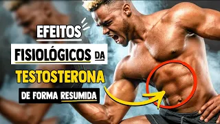 Funções da Testosterona no Corpo Humano │ Fisiologia Resumida