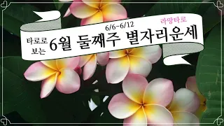 [타로/별자리운세] 타로로 보는 주간 별자리 운세 6월 2째주(6/6~6/12)