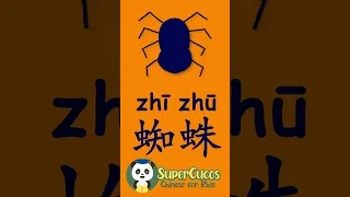 学中文- 蜘蛛 | Learn Chinese -  SPIDER | Aprender Chino - ARAÑA #Shorts