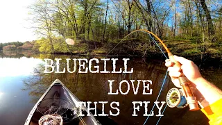 Fly Fishing Bluegill: This Fly WORKS