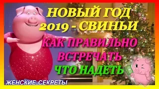 Новый год 2019 - Год Свиньи. Как встречать. В чем  встречать Новый год.Что надеть на Новый год 2019.