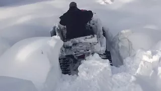 Grizzly attack in deep snow