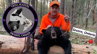 Ontario Spring Black Bear Hunt - 2021