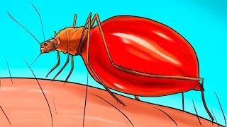 Что происходит с вашим телом, когда вас кусает комар