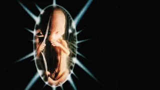 Неродившийся ребёнок (1991)