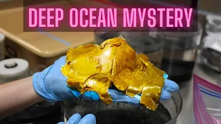 Strange, Gold, Biological Discovery on Sea Floor (Ep #225)