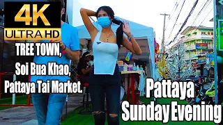 Pattaya 4K Walk TREE TOWN, Soi Bua Khao, Pattaya Tai Market, Sunday Evening 10th Oct.