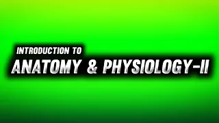 Human Anatomy & Physiology - II | Syllabus | B Pharma 2nd Semester | Imperfect Pharmacy