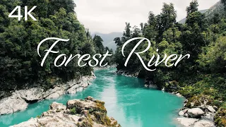 4K Calming River Sounds 💦Quiet Rushing Water, High-Quality Forest Video🌲UHD Morning Nature Ambience