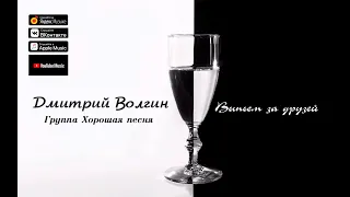Дмитрий Волгин и группа Хорошая песня- Выпьем за друзей