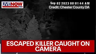 Pennsylvania escaped killer: Man spotted on home surveillance footage | LiveNOW from FOX