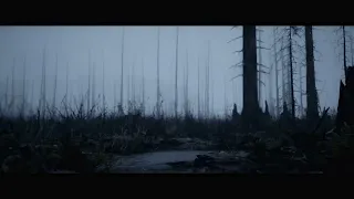 Dark Forest Unreal Engine 5