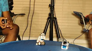 Cozmo vs Vector Review