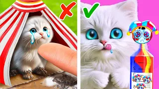 Digital Circus Saved Tiny Kitten🤡 *Best Crafts And DIYs From My Pet*