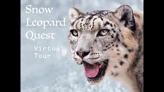 Snow Leopard Virtual Tour