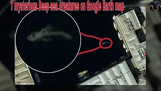 7 mysterious​ deep sea creatures on Google Earth map #2